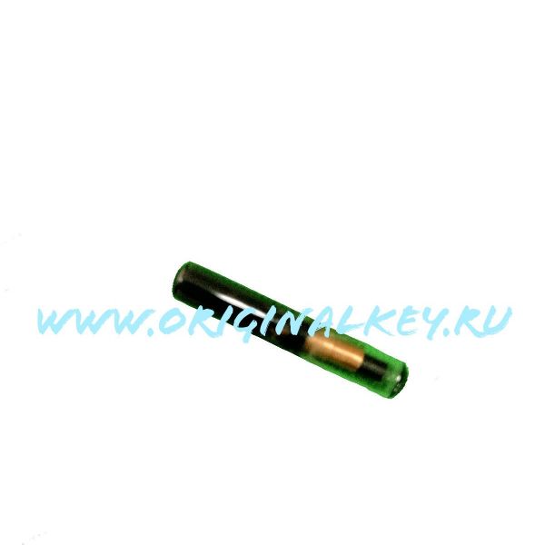 T065 - TPX 1
