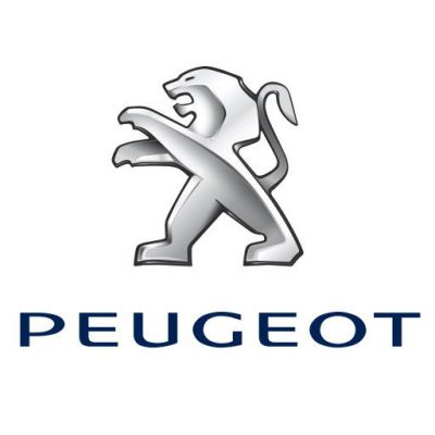 Ключи для Peugeot. Чип ключи Пежо. Программирование, дубликаты. 307, 308, 407, 408, 508, 2008, 3008, 5008